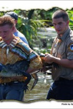 Regarder Nat Geo Wild: Swamp Men en ligne gratuitement.
