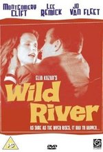 Смотреть Wild River онлайн бесплатно.
